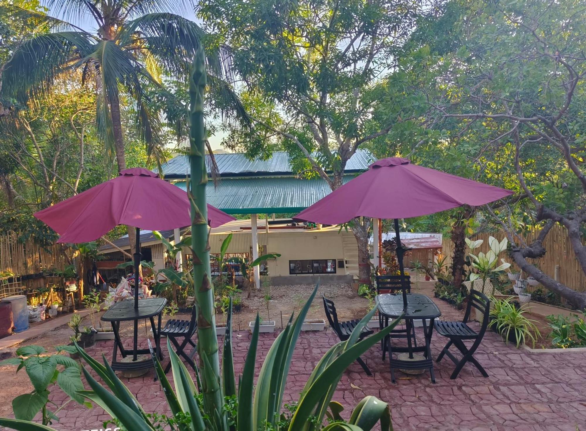 Ani Marie Guest House Coron Extérieur photo