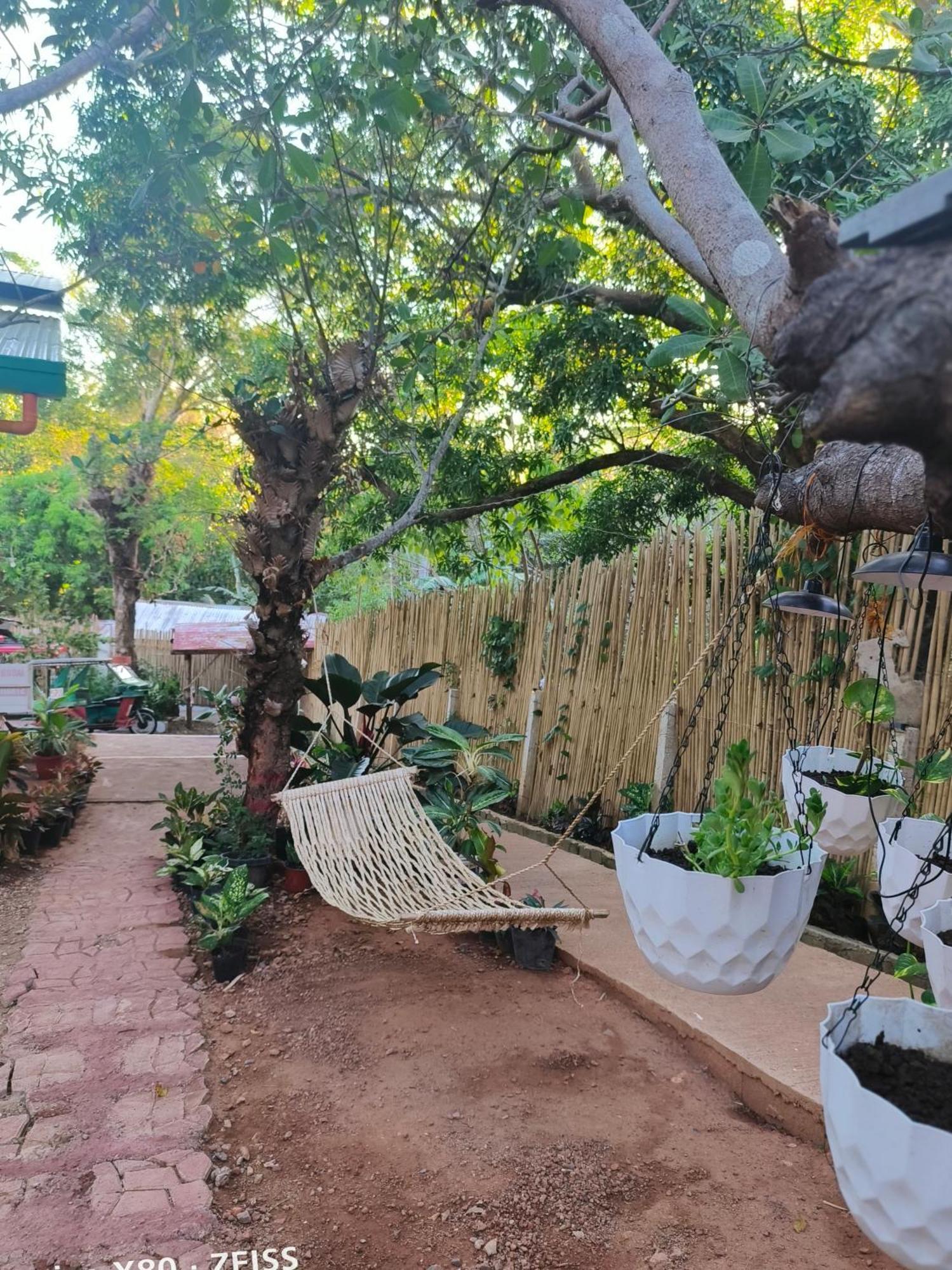 Ani Marie Guest House Coron Extérieur photo
